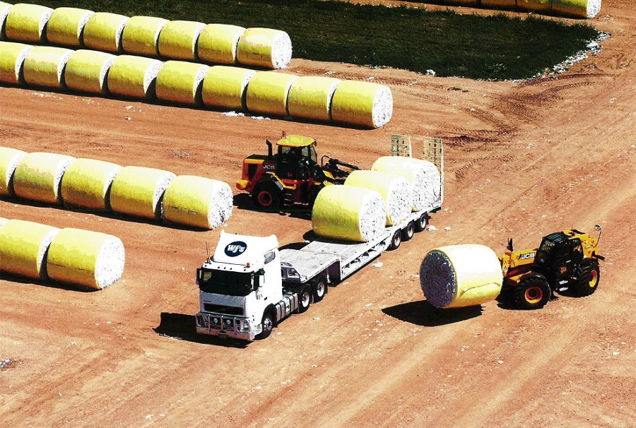 1583216423192705.jpg 550-80 Bale 3.jpg